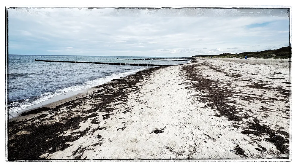 Urlaub Handy Workshop