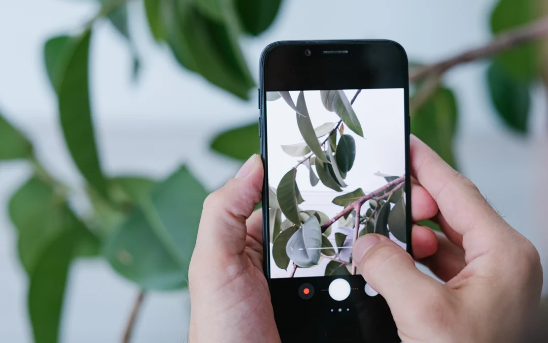 Tipps für perfekte Social Media Bilder auf Instagram und Facebook sowie LinkedIn & Co