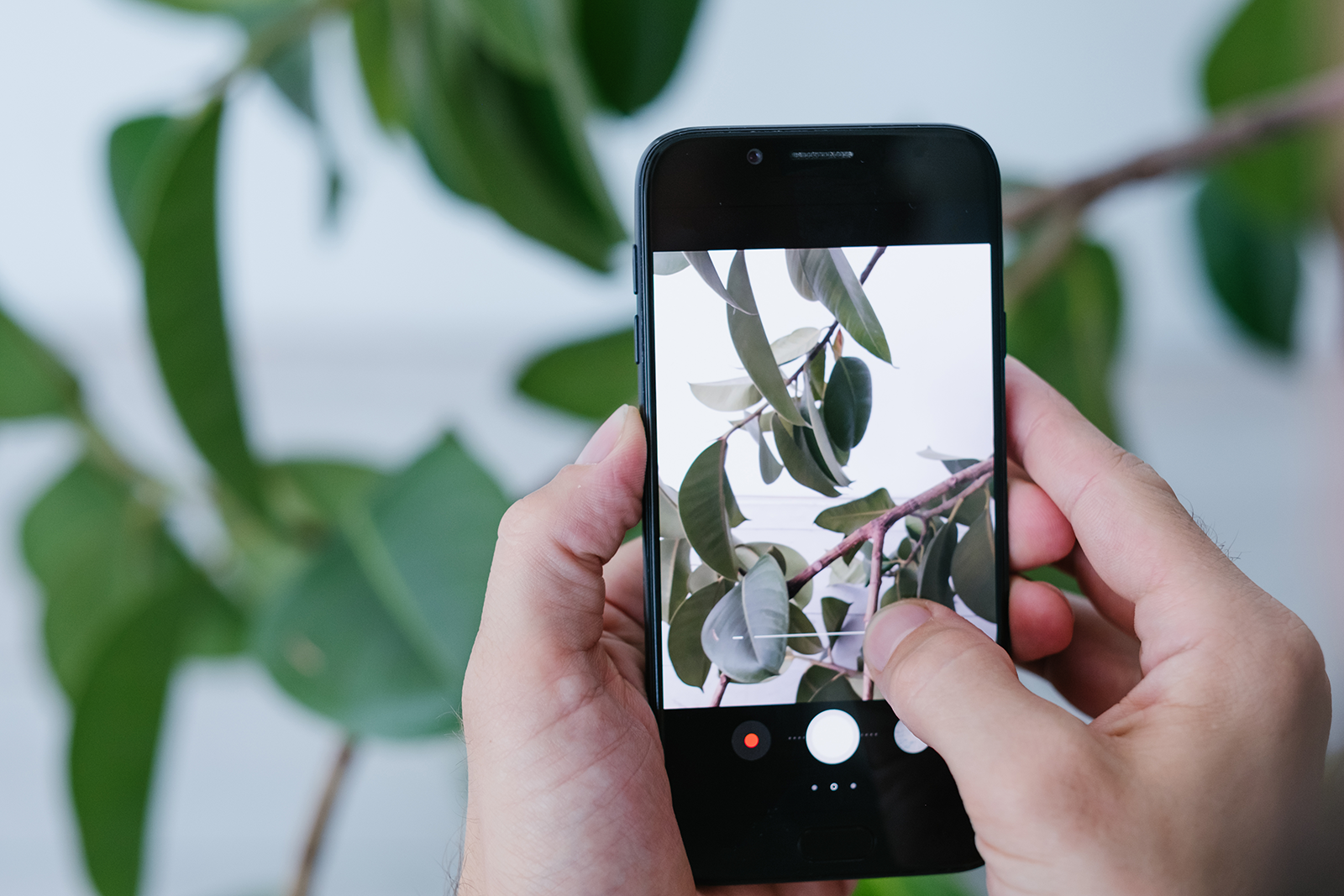 Fotografie mit dem eigenen Handy