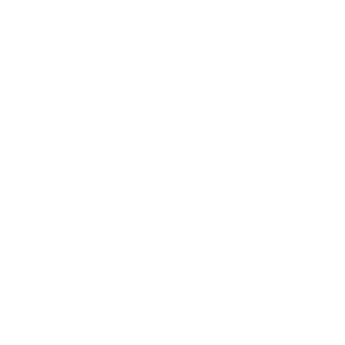 Google_weiß Google Logo weiß